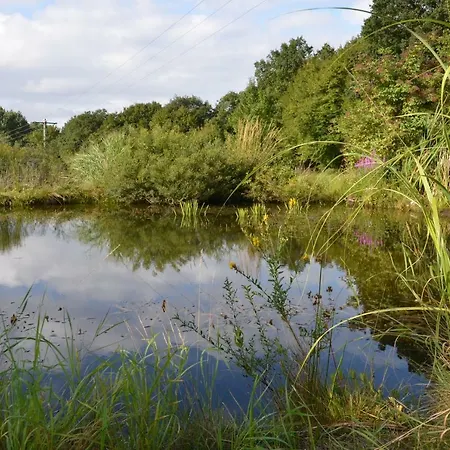 Natur Pur * Neustadt (Wied)